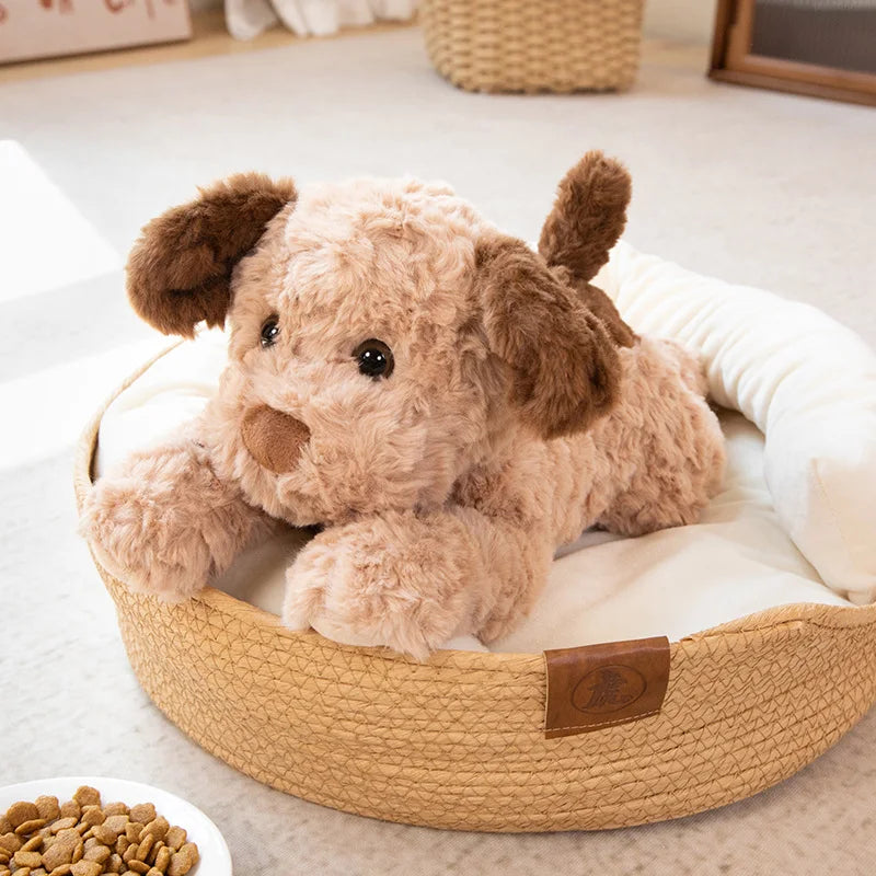 Cute Puppy Dog Plush 14" Stuffed Animal