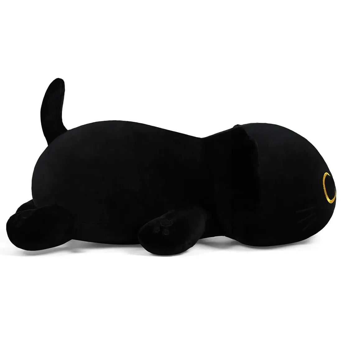 Sleepy Shadow the Black Cat