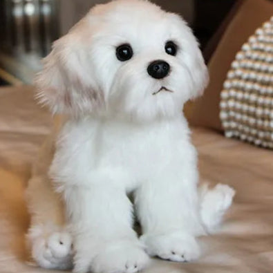 Realistic Maltese Dog Stuffed Animal