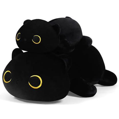Sleepy Shadow the Black Cat