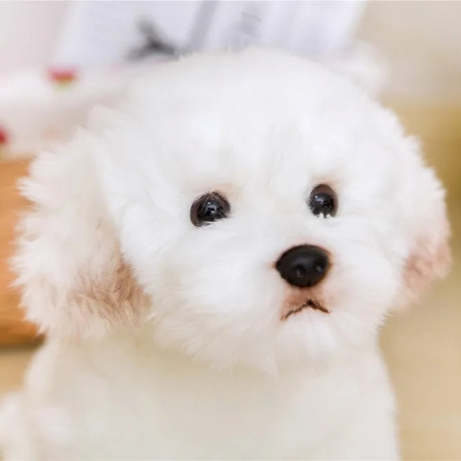 White Maltese 15" Stuffed Dog